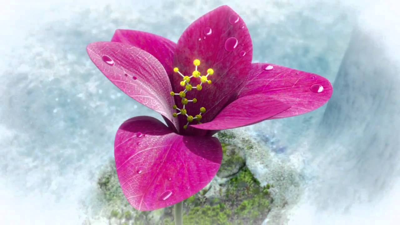 Pacific Digital Image Teaser Reel 2010