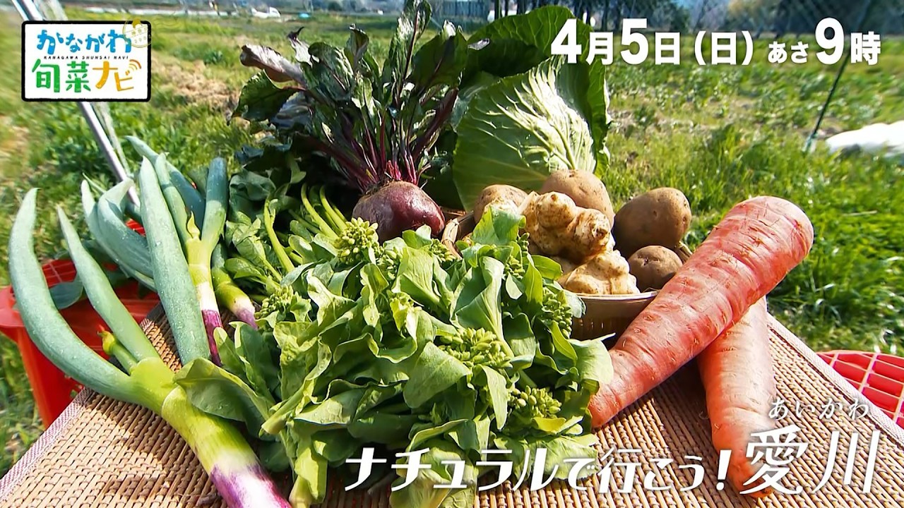 かながわ旬菜ナビ　次回予告（4月5日放送）