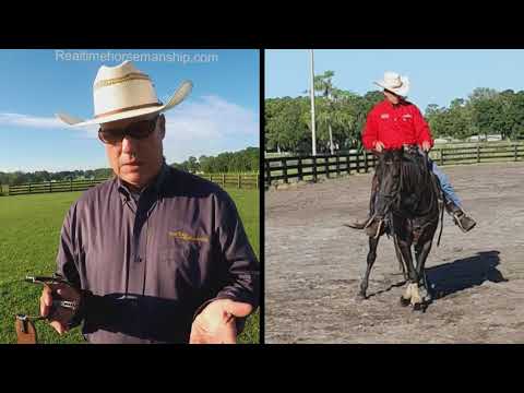 Using Spurs - Bolo Hunt