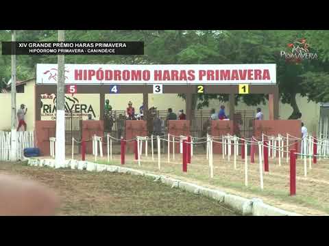 XIV haras primavera  2 páreo classificatório