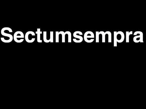 How to Pronounce Sectumsempra Harry Potter Charm Curse Casting Magic Spell Incantation Wizard Wand