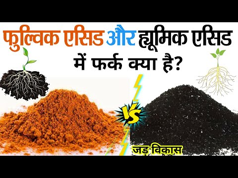 Fulvic Acid और Humic Acid दोनों में से कौनसा बेस्ट है🌱ह्यूमिक एसिड - फुल्विक एसिड में अंतर जड़ विकास