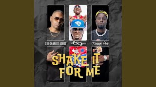 Shake It For Me