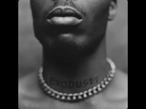 DMX - Skyscrapers (feat. Bono) [Explicit]