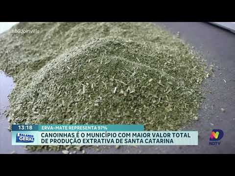 Canoinhas lidera produção extrativa em SC com R$ 11 milhões em 2024