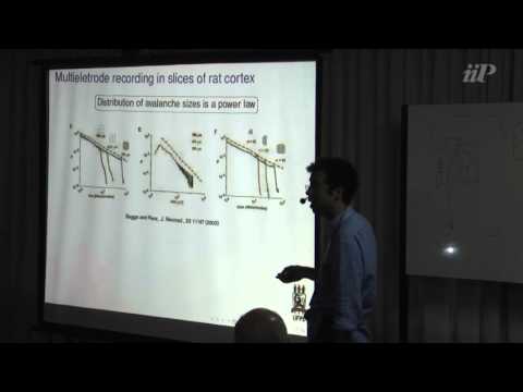 Modeling neuronal avalanches - Mauro Copelli