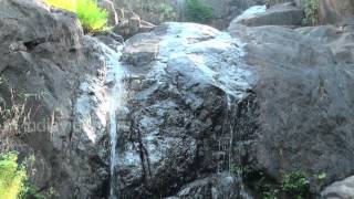 Pulinjal Waterfalls, Wayanad 