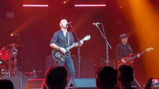 Live - Shit Towne Live Summersault 2019 Montreal