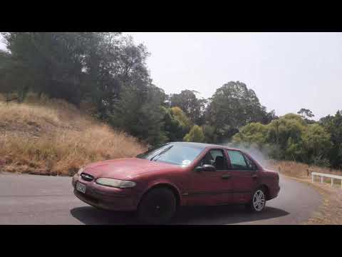 El falcon tearing it up