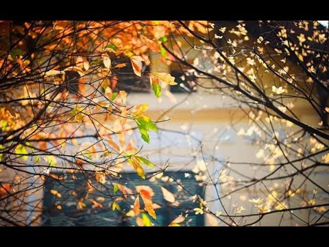 Buồn chớm thu - Lê Huyền