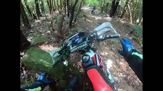 楽しい林道探索