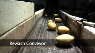 preview picture of video 'Our Potato Packing Shed In Action'