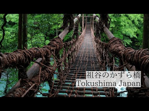 日本三大秘境の伝統と神秘/祖谷のかずら橋　Iya Vine Bridge: Tradition and mystery in a secluded region