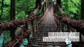 日本三大秘境の伝統と神秘/祖谷のかずら橋　Iya Vine Bridge: Tradition and mystery in a secluded region