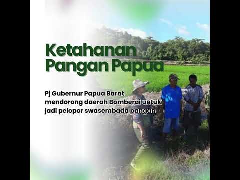 Ketahanan pangan di Papua. #PercepatanPembangunan #PapuaMaju