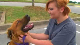Service dog denied ambulance access