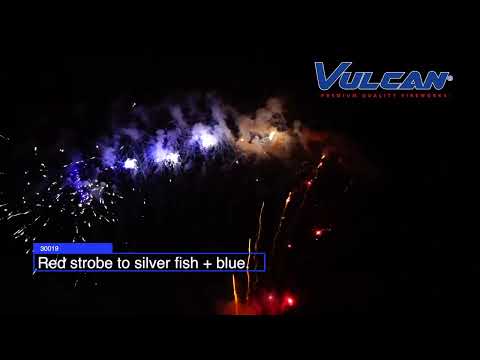 30019 - Red strobe to silver fish and blue stars.