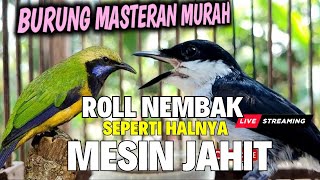 Download lagu GURU MASTERAN HANDAL - ROLL TEMBAK MESIN JAHIT - JINGJING PETUAK Kombinasi CUNGKOK KUNTILANAK mp3 Download lagu GURU MASTERAN HANDAL - ROLL TEMBAK MESIN JAHIT - JINGJING PETUAK Kombinasi CUNGKOK KUNTILANAK mp3