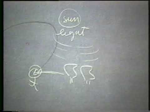 1997-11-11 NSPRS 076 - Plato's Dialectic and Jung's Dialectic pt 2