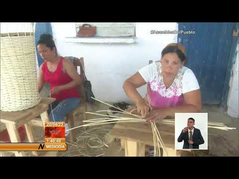 Empresa Agroforestal El Salvador: modelo de eficiencia en Cuba