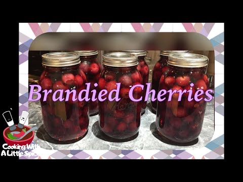 download lagu mp3 mp4 Bottled Cherries In Alcohol, download lagu Bottled Cherries In Alcohol gratis, unduh video klip Bottled Cherries In Alcohol