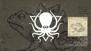 Truth - Twinkle Toad (ENiGMA Dubz Remix) (DDDLP7R1)