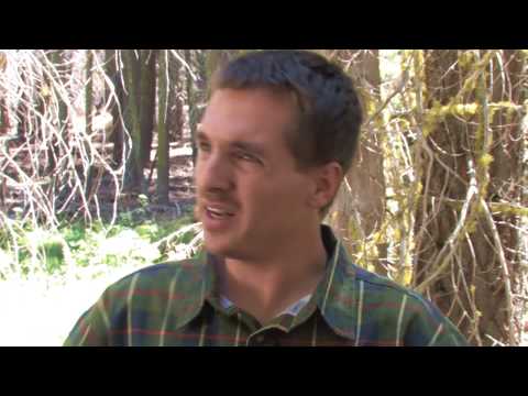 bear country (trailer)