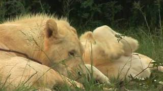 A Break in the Clouds