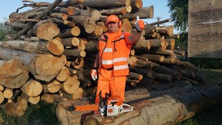 STIHL MS 362 vs FAG uscat.