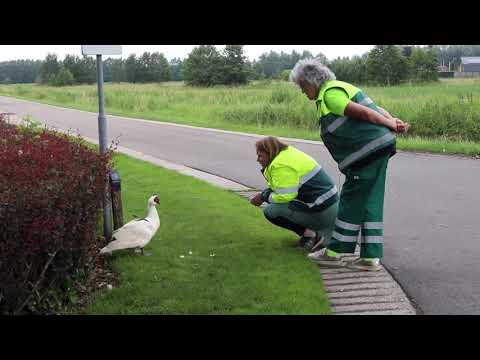 Dierenambulance Woudenberg - De Woudenberger