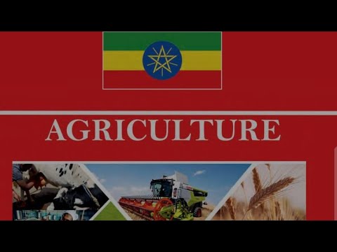 Grade 11 Agriculture Unit 3. Industrial crop production and management #sisal 