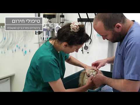 תמונה של بيطريون في قلب المستعمرة