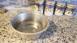 URBUDDIES 1 1 Gallon Extra Large Dog Bowls, XL Stainless Steel Dog Water Bowls for XLarge Dogs Revie