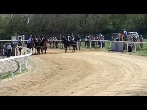 Brontolo 1 Monticiano 19 04 2018