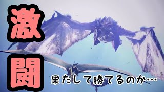 【激闘】リオレイア亜種とタイマン！！【MHW】