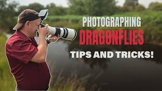 What’s the Trick to Photographing Dragonflies Without Scaring Them?