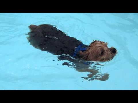 Lucas y Frida nadan en Rockwall 2