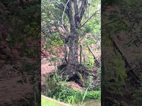 Trilha (errada) para a Capadócia Nordestina em São José do Piauí. BMW GS 310