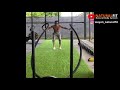 latihan battle rope