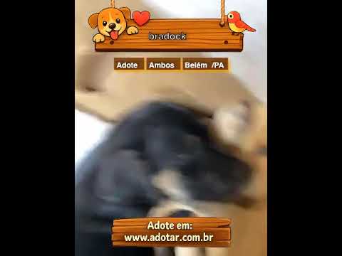 Vídeo de bradock 
