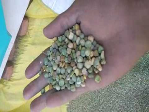 GURLEY Industrial Destoner Machine, Capacity: 3.5 Tph, KARMA