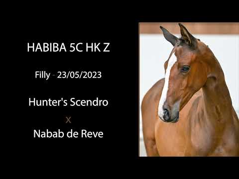 Habiba 5C HK Z (Hunter's Scendro x Nabab de Reve)