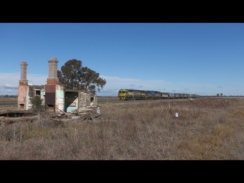 QL008 & CF4420, Qube Export Grain