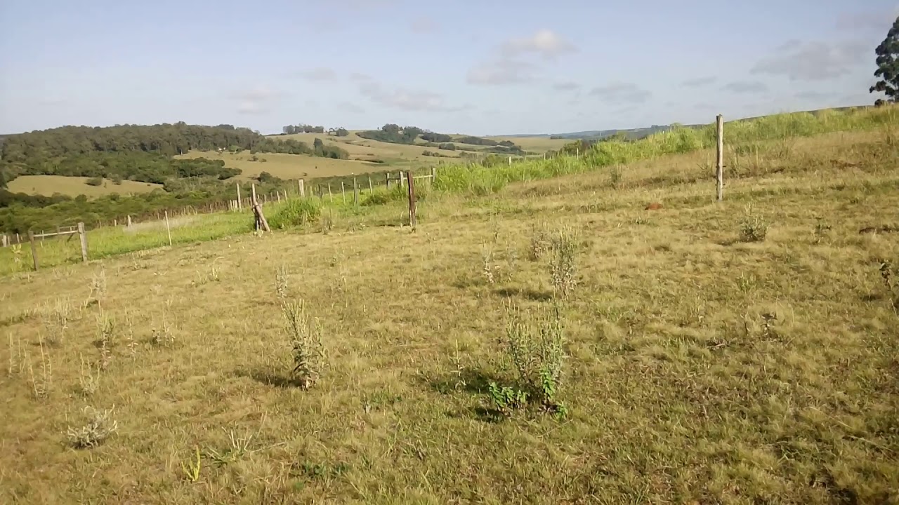 Quer comprar um SITIO ou FAZENDA ?Aqui está a verdade que ninguém fala