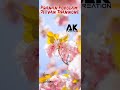 Pranan Povolam Jeevan Thannone Malayalam Christian Song Whatsapp Status Video