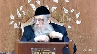 הרה"ג הרב וועכטר שליט"א י"א טבת תשפ"ו (הרב אברהם מנחם מענדל וכטר) - התמונה מוצגת ישירות מתוך אתר האינטרנט יוטיוב. זכויות היוצרים בתמונה שייכות ליוצרה. קישור קרדיט למקור התוכן נמצא בתוך דף הסרטון