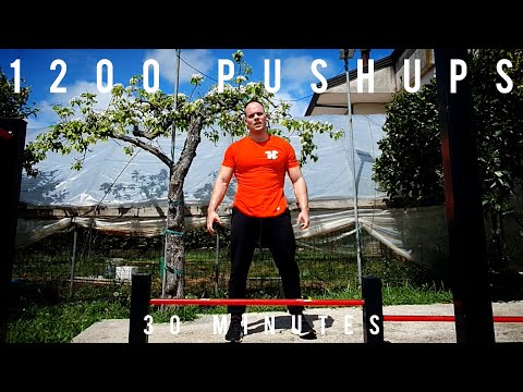 ROAD TO TRUE ENDURANCE 2 - 12 WEEKS PUSHUPS PROGRESSION