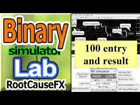 Video Binary Lab Simulator