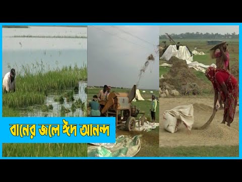 বানের জলে ভেসে গেছে কৃষক পরিবারের ঈদ