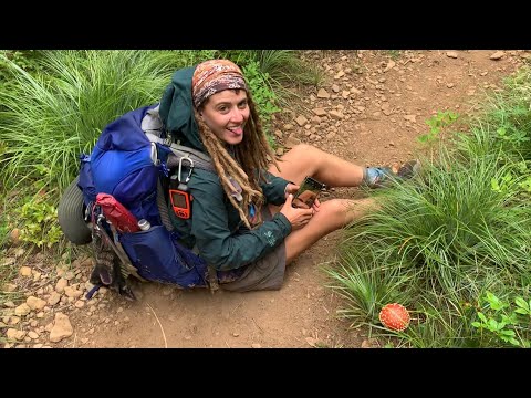Pacific Crest Trail: Oregon [Ep 6]